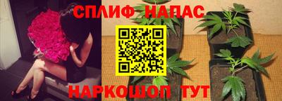 ешки Лесосибирск