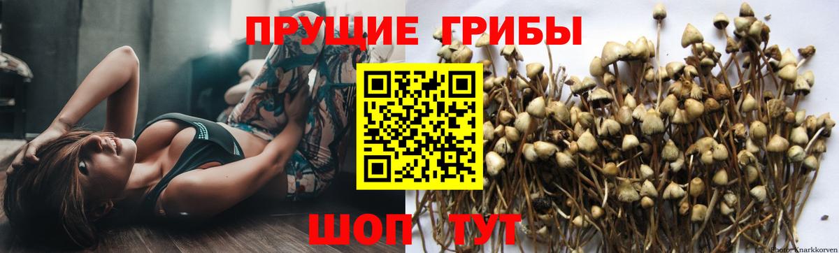 Псилоцибиновые грибы прущие грибы  Галлюциногенные грибы прущие грибы  Воскресенск  Вход с VPN 